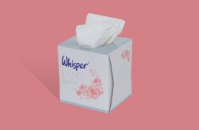 2 PLY WHISPER CUBE FACIAL TISSUES BOX 70