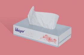 2 PLY WHISPER PROFESSIONAL FACIAL TISSUES BOX 100